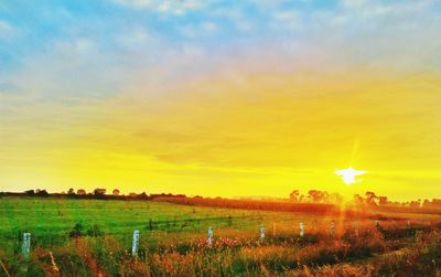 Scenic view of field against sky