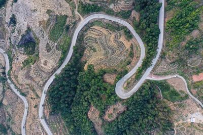 High angle view of road amidst trees in forest