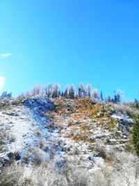 Snow covered landscape against clear blue sky