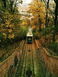 Railroad track in forest