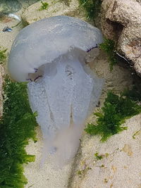 High angle view of wet sand on beach