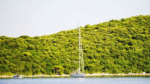 Boats sailing in sea