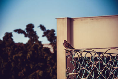 Close-up of metal gate against sky