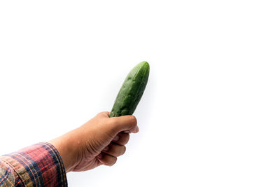 Midsection of person holding ice cream against white background