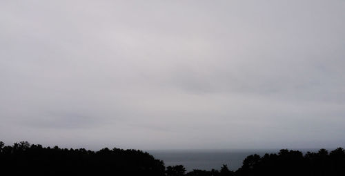 Low angle view of silhouette trees against sky