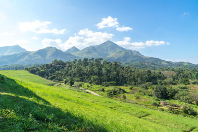 Scenic view of landscape against sky