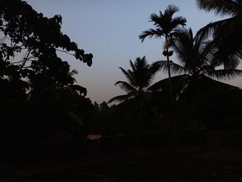 Low angle view of silhouette trees against sky