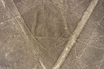 Full frame shot of tiled floor