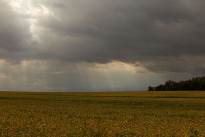 Scenic view of field against cloudy sky