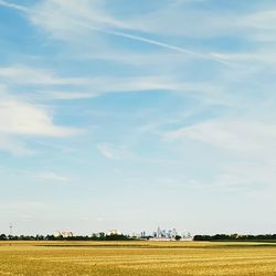 Scenic view of agricultural field against sky