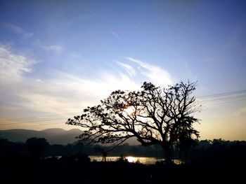 Silhouette trees on landscape against sky at sunset