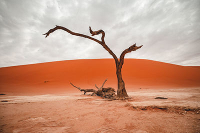 Scenic view of desert against cloudy sky