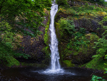 View of waterfall in forest