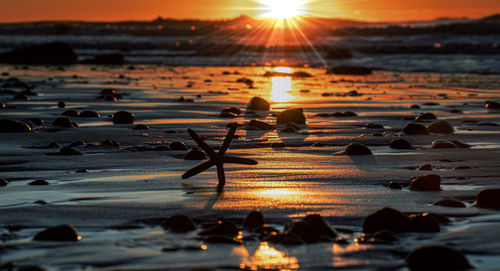 Surface level of beach against sky during sunset