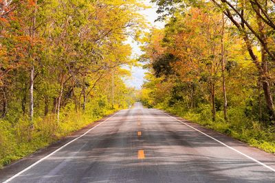 Empty road amidst trees during autumn