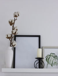 White potted plant on table at home