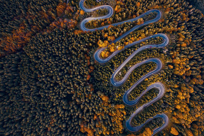 Full frame shot of patterned metal