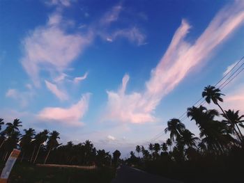 Low angle view of silhouette trees against sky during sunset