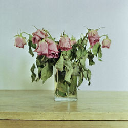 Close-up of wilted flowers in vase on table