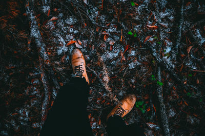 Portrait of woman standing by tree during autumn