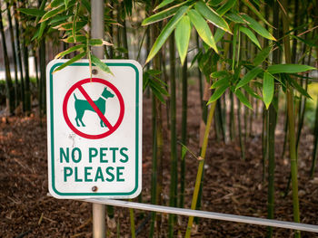 Close-up of road sign against trees