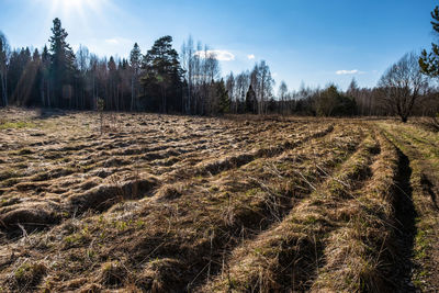 Scenic view of land against sky