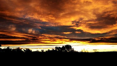 Silhouette trees against dramatic sky during sunset