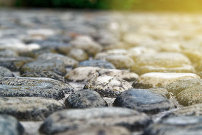 Close-up of stones on rocks