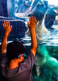 Rear view of boy looking at polar bear swimming in tank