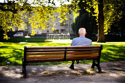 Rear view of man sitting on bench in park