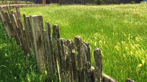 Wooden post on grassy field