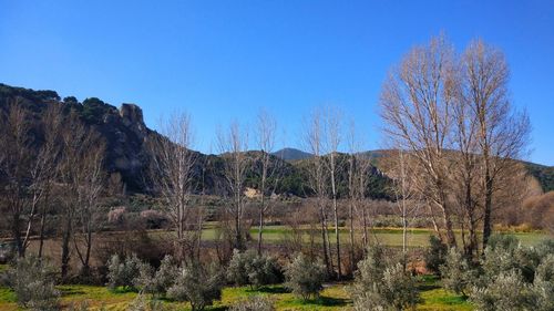 Scenic view of landscape against clear blue sky