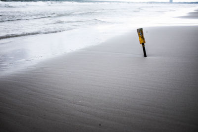 Man on wooden post at beach