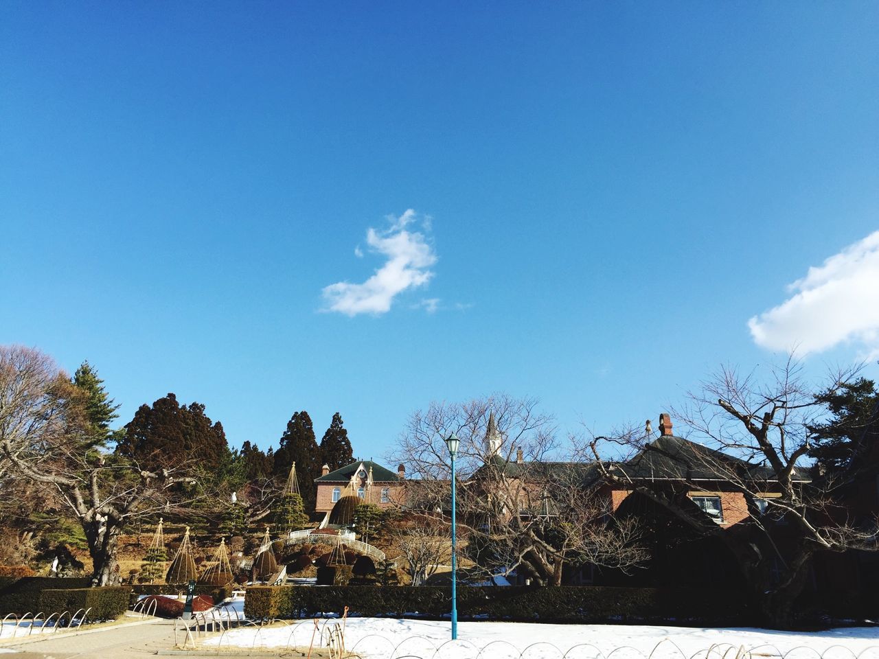 tree, blue, built structure, building exterior, architecture, sky, clear sky, snow, house, copy space, winter, sunlight, nature, day, field, cold temperature, outdoors, landscape, low angle view, season