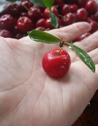 Close-up of hand holding strawberry