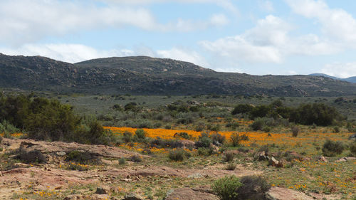 Scenic view of landscape against cloudy sky