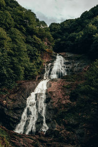 Scenic view of waterfall in forest