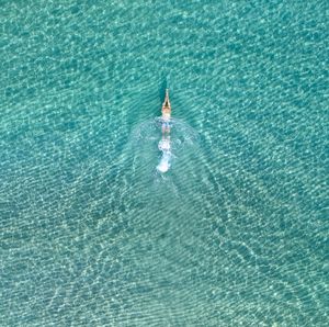 Drone view of person swimming in sea