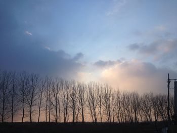 Silhouette bare trees on landscape against sky