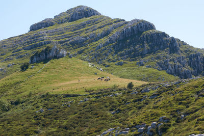 Green mountains in cantabria