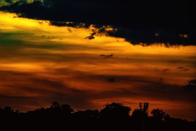 Low angle view of silhouette trees against orange sky