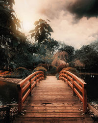 View of empty footpath amidst trees against sky