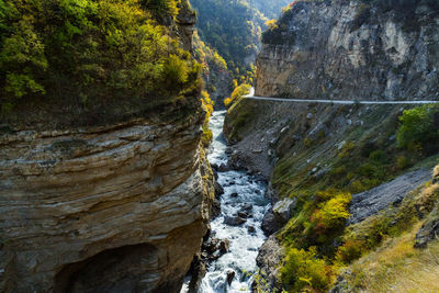 Scenic view of waterfall in forest