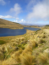 Scenic view of landscape against sky