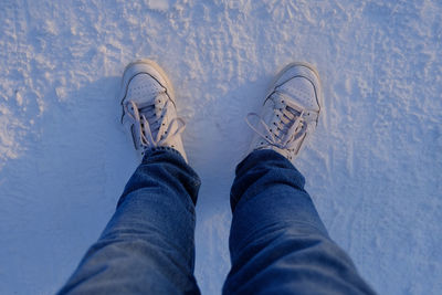 Low section of person wearing canvas shoes