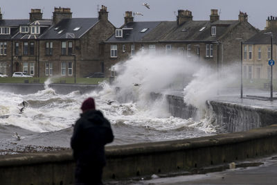 Rear view of person standing by sea against buildings in city