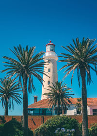 Palm trees by lighthouse against blue sky