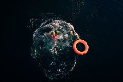 Close-up of jellyfish against black background