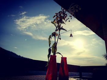 Close-up of flower hanging on tree against sky