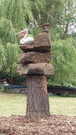 Horse on tree trunk in field